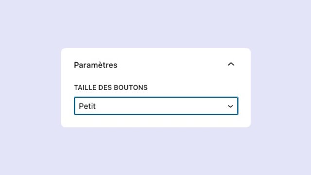 Choix de la taille d'un bouton de partage